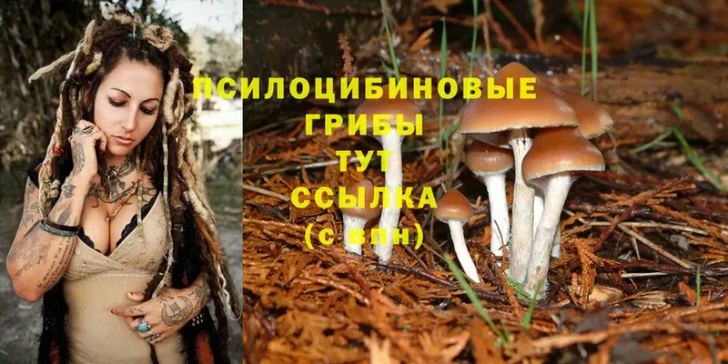 сайты даркнета официальный сайт  Игарка  Галлюциногенные грибы MAGIC MUSHROOMS  магазин  наркотиков 